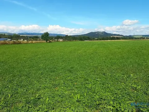 Prodej louky, Police nad Metují, 8790 m2