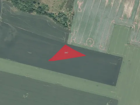 Prodej pole, Cerhenice, 2646 m2