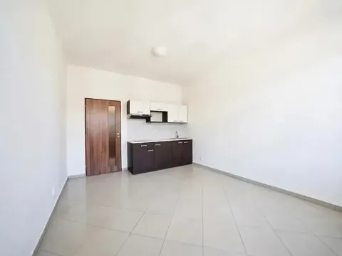 Prodej bytu 1+kk, Brno, 30 m2