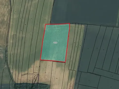 Prodej podílu pole, Budyně nad Ohří, 4368 m2