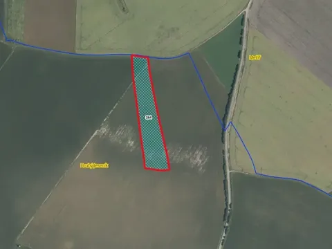 Prodej podílu pole, Hrubý Jeseník, 5474 m2