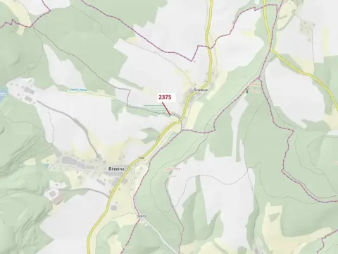 Dražba lesa, Březiny, 303 m2