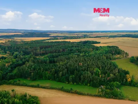 Prodej lesa, Břežany, 3520 m2