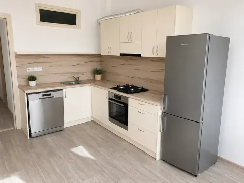 Pronájem bytu 2+1, Praha - Holešovice, Dělnická, 85 m2