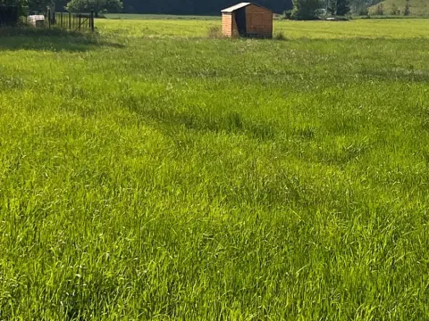 Prodej pozemku pro bydlení, Dobrá, 1288 m2