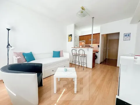 Pronájem bytu 1+kk, Praha - Záběhlice, Švehlova, 24 m2