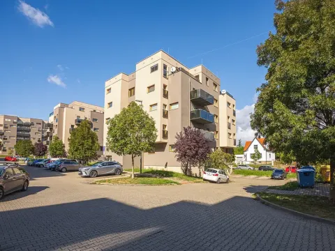 Prodej bytu 2+kk, Plzeň, U Velkého rybníka, 81 m2