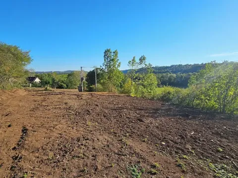 Prodej zahrady, Letovice, Pražská, 2232 m2