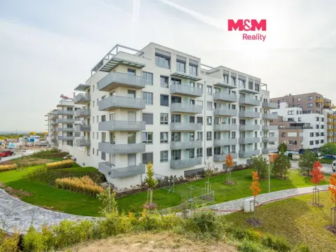 Prodej bytu 1+kk, Praha - Dolní Měcholupy, Honzíkova, 35 m2