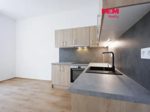Pronájem bytu 2+kk, Plzeň - Jižní Předměstí, Americká, 62 m2