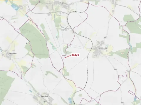 Dražba lesa, Horní Újezd, 264 m2