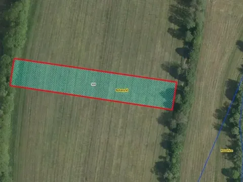Prodej louky, Boharyně, 4750 m2