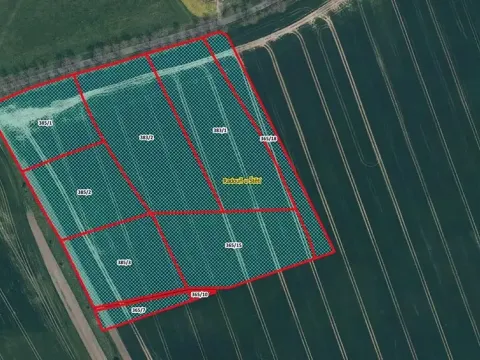Prodej podílu pole, Štětí, 14932 m2
