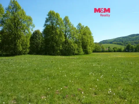 Prodej louky, Vysoká Srbská, 26090 m2