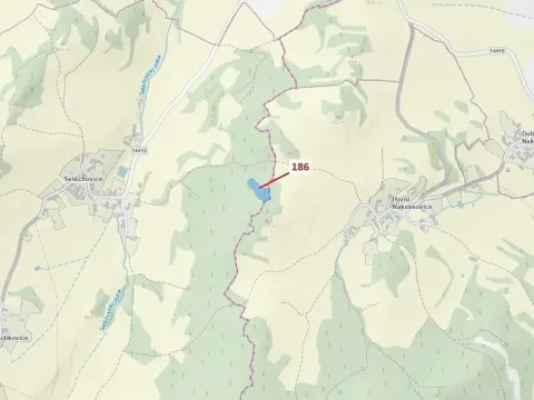 Dražba lesa, Zálezly, 4542 m2