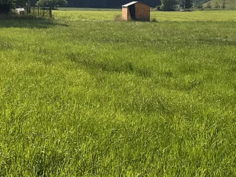 Prodej pozemku, Dobrá, 1288 m2