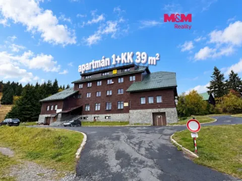 Prodej bytu 1+kk, Loučná nad Desnou - Kouty nad Desnou, 39 m2