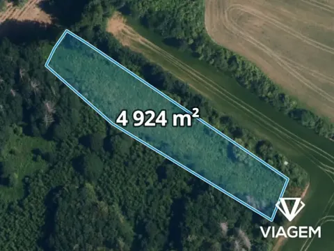 Prodej podílu lesa, Lukov, 2462 m2