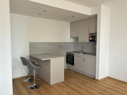 Pronájem bytu 1+kk, Břeclav, U Tržiště, 30 m2