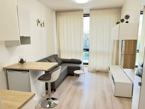 Prodej bytu 1+kk, Praha - Vysočany, Poděbradská, 20 m2