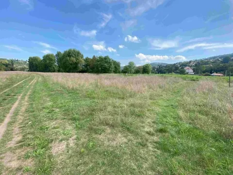 Dražba louky, Všenory, 782 m2