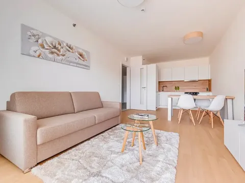 Pronájem bytu 2+kk, Praha - Vysočany, Hindlova, 56 m2