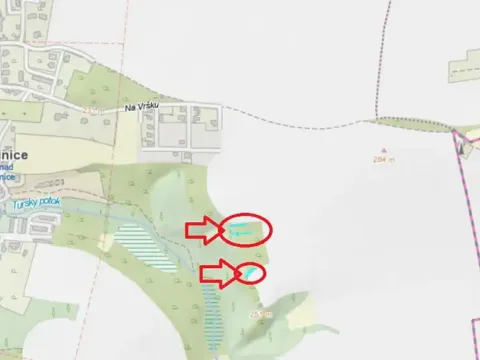 Prodej lesa, Kralupy nad Vltavou, 559 m2