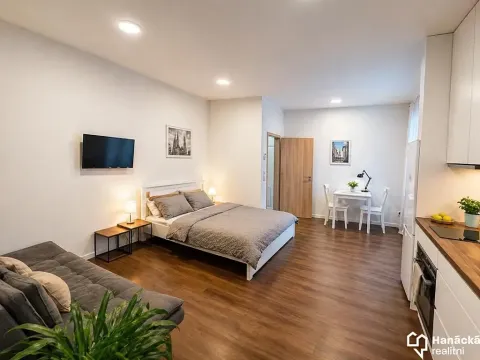 Pronájem bytu 1+kk, Olomouc, Andělská, 35 m2