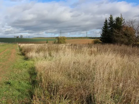 Prodej pozemku, Olešná, 2187 m2