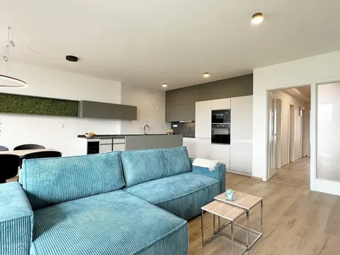 Pronájem bytu 4+kk, Brno, Placzkova, 112 m2