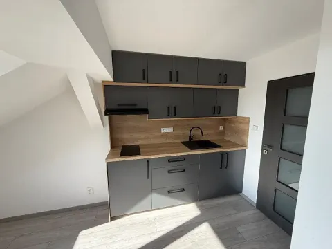 Prodej bytu 2+kk, Plzeň, Rokycanská, 51 m2